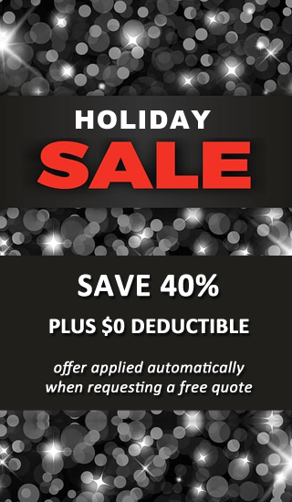 Holiday Sale